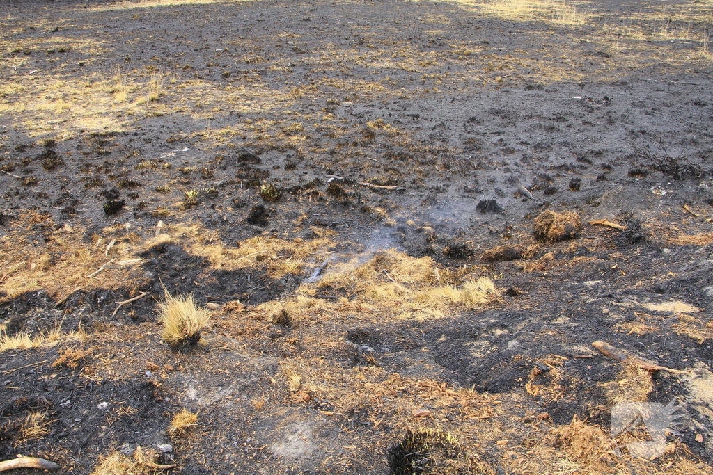 Schade door natuurbrand goed zichtbaar
