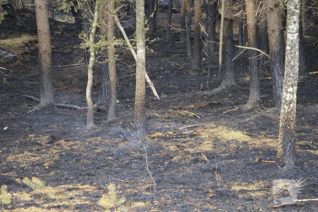 Schade door natuurbrand goed zichtbaar