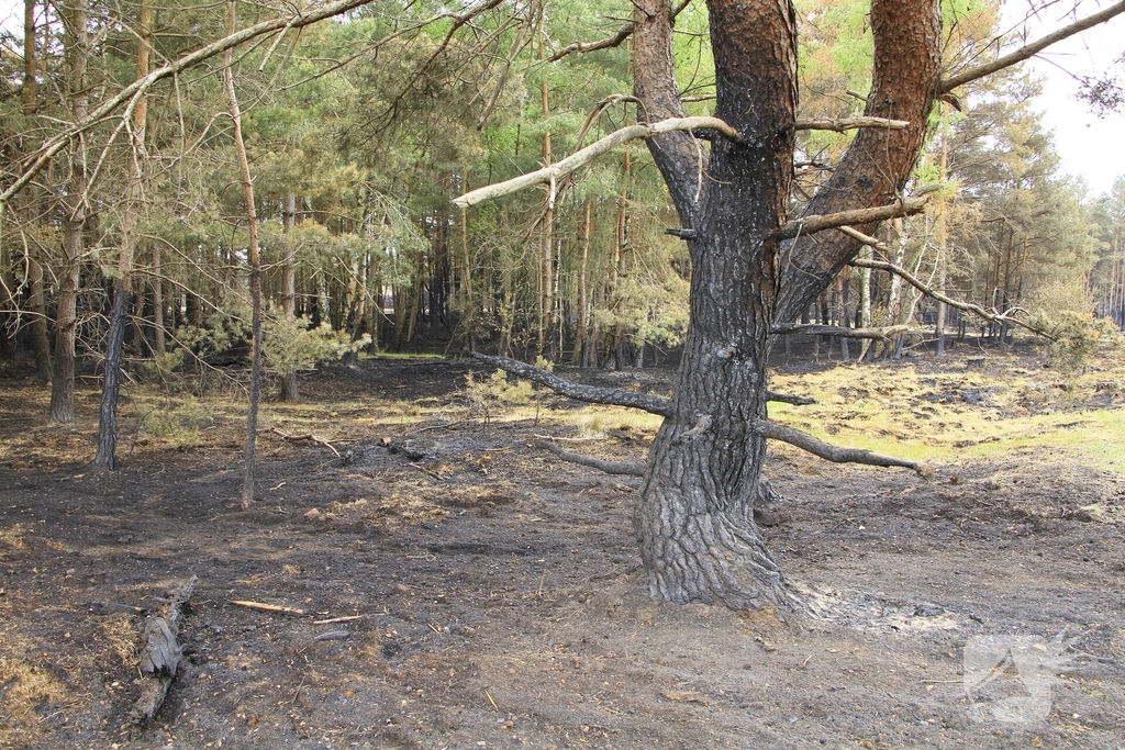 Schade door natuurbrand goed zichtbaar