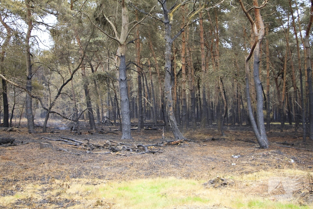 Schade door natuurbrand goed zichtbaar