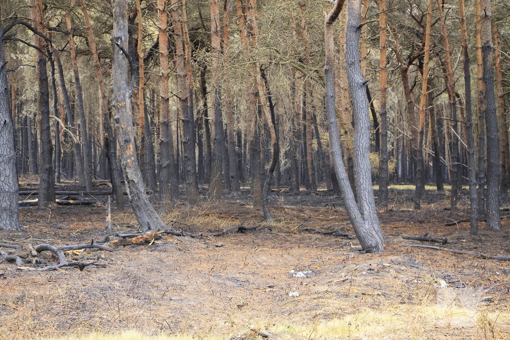 Schade door natuurbrand goed zichtbaar