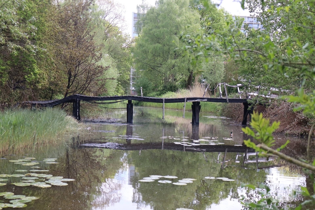 Houten brug verwoest door brand