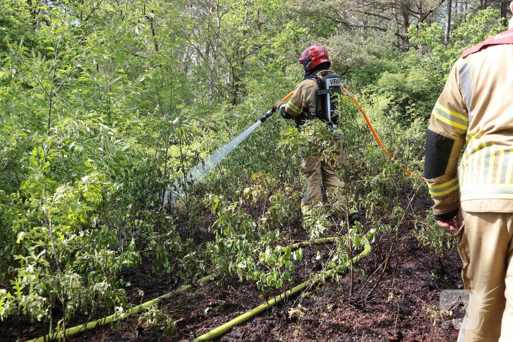 Brand in bosgebied onder controle