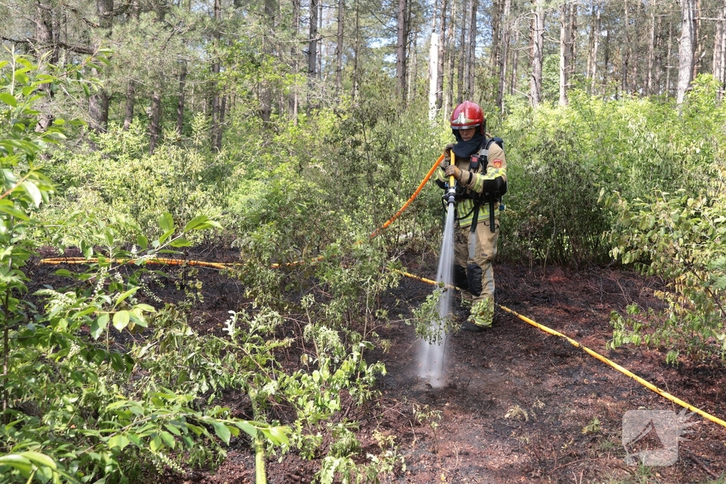 Brand in bosgebied onder controle