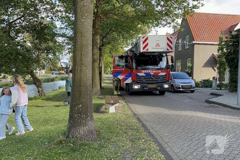 Brandweer redt meeuw uit benarde situatie
