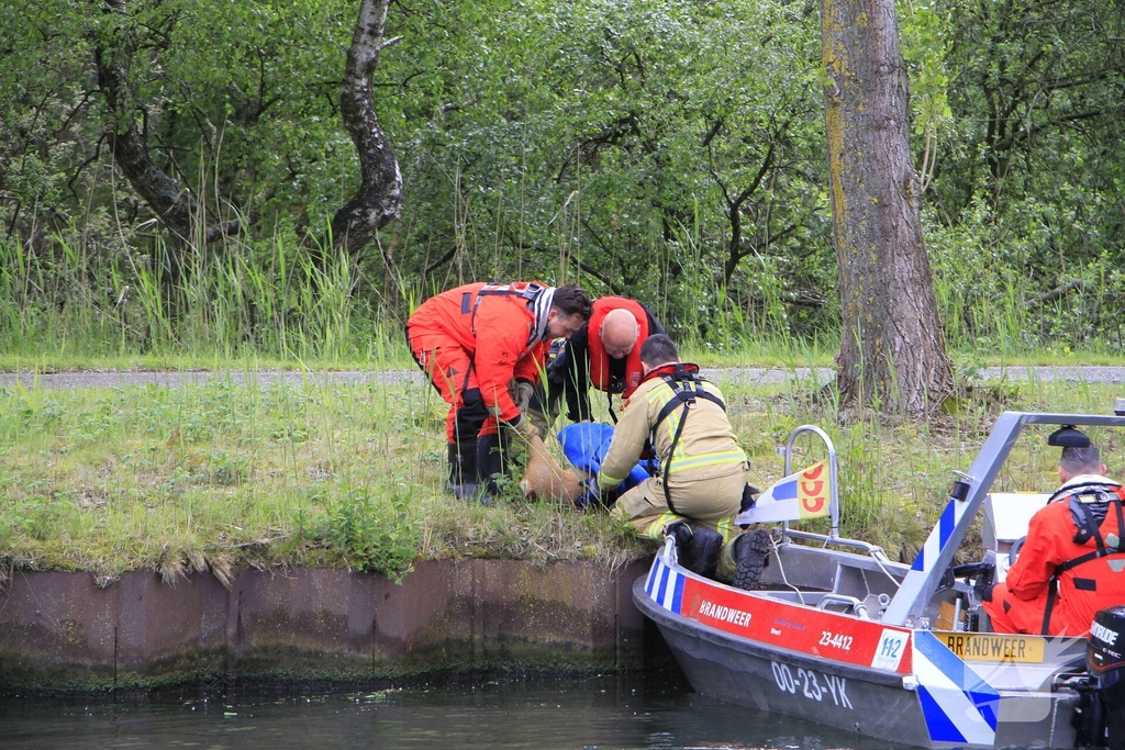 Ree sterft na reddingsactie van brandweer
