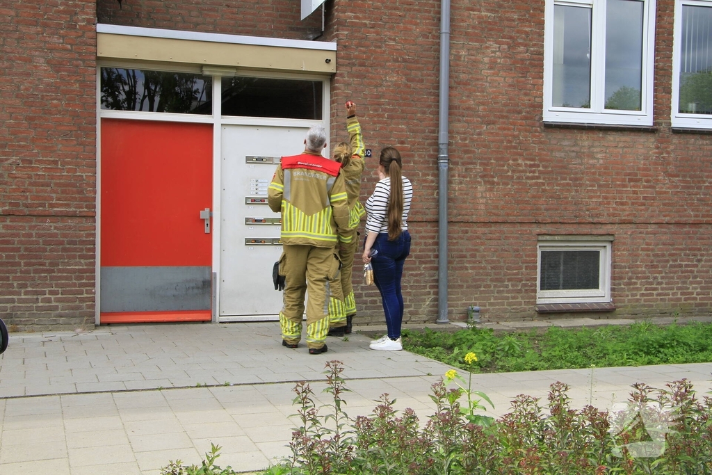 Brandweer redt zwaluwen te laat