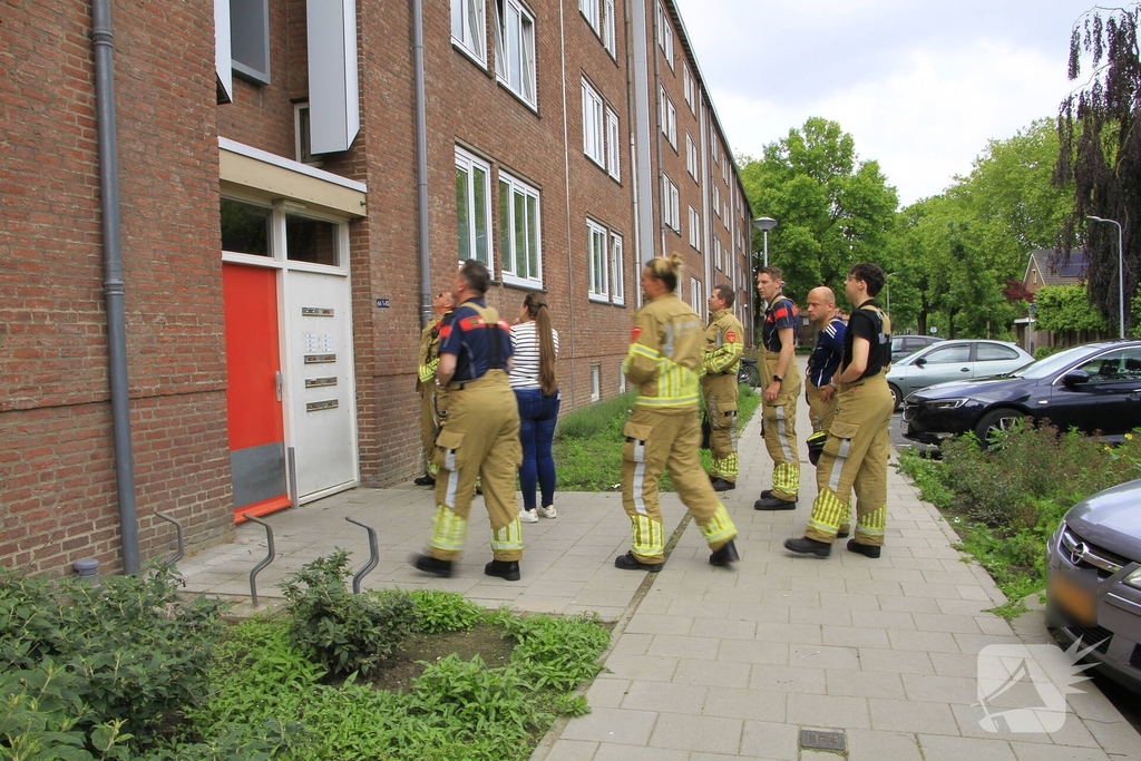 Brandweer redt zwaluwen te laat