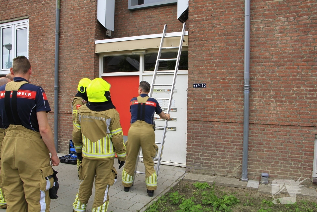 Brandweer redt zwaluwen te laat