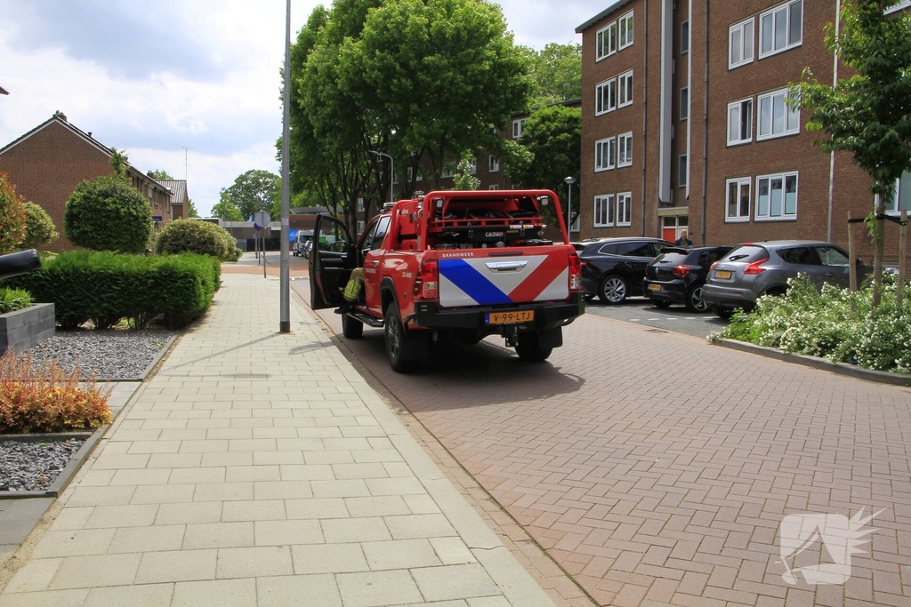 Brandweer redt zwaluwen te laat