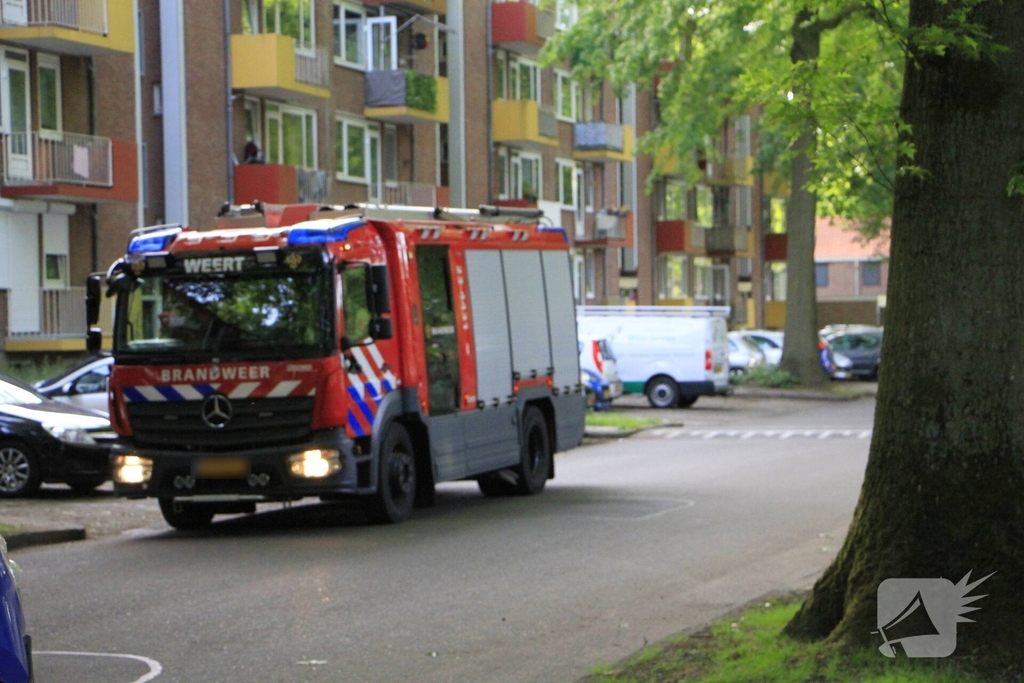 Kinderen helpen brandweer bij bevrijding van vastzittende kraai
