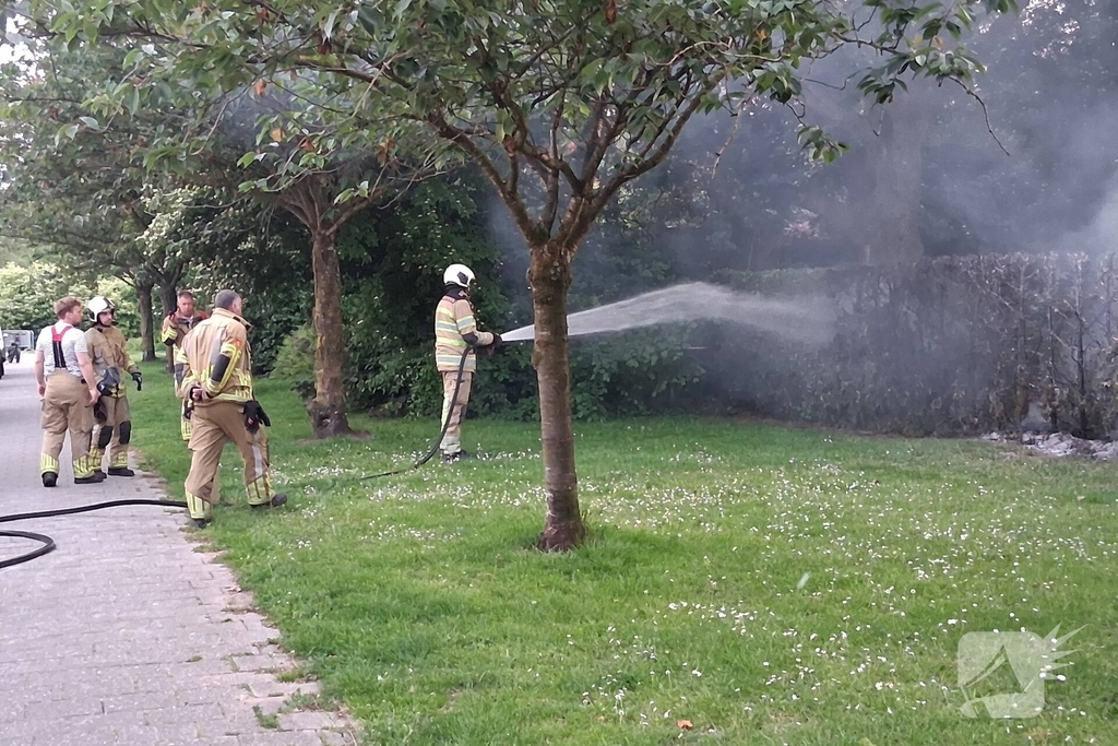 Brand in struiken snel gedoofd