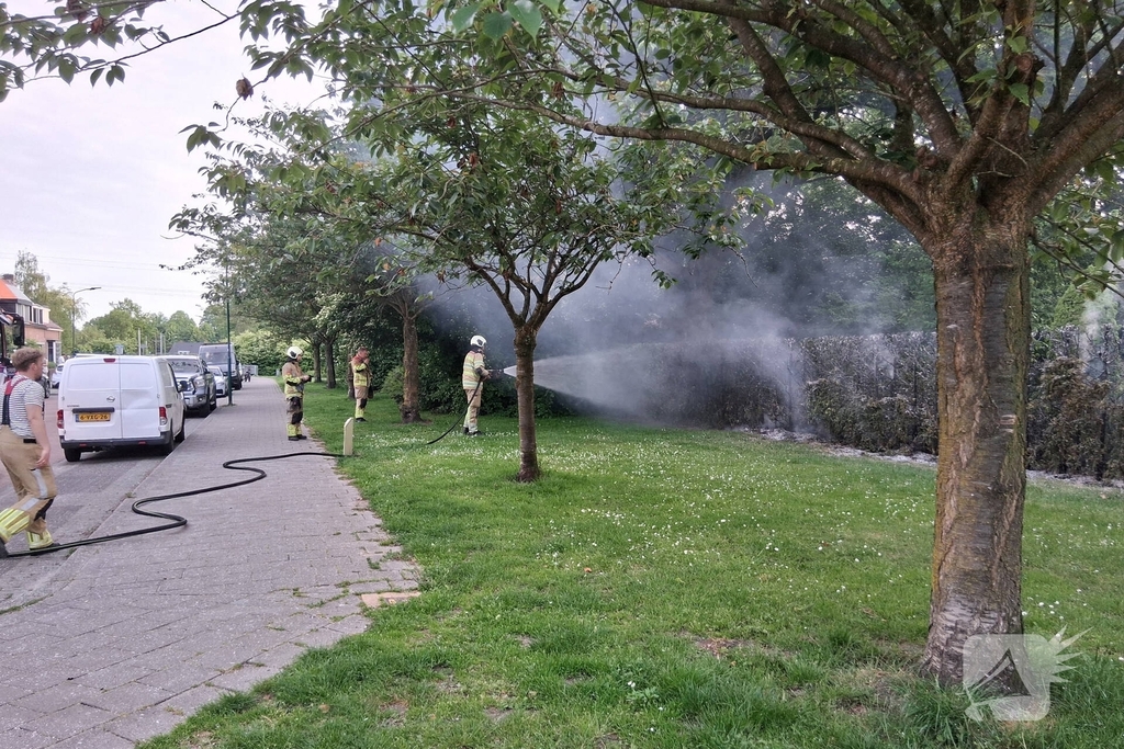 Brand in struiken snel gedoofd