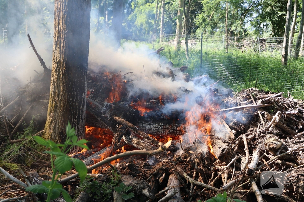 Twee branden in bosgebied geblust
