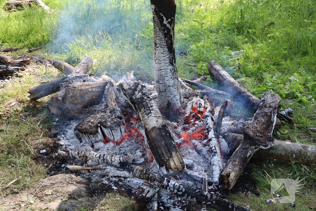 Twee branden in bosgebied geblust