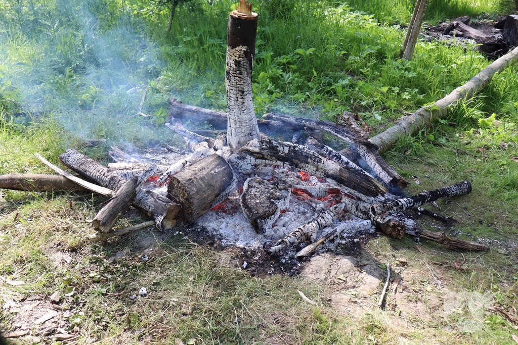 Twee branden in bosgebied geblust