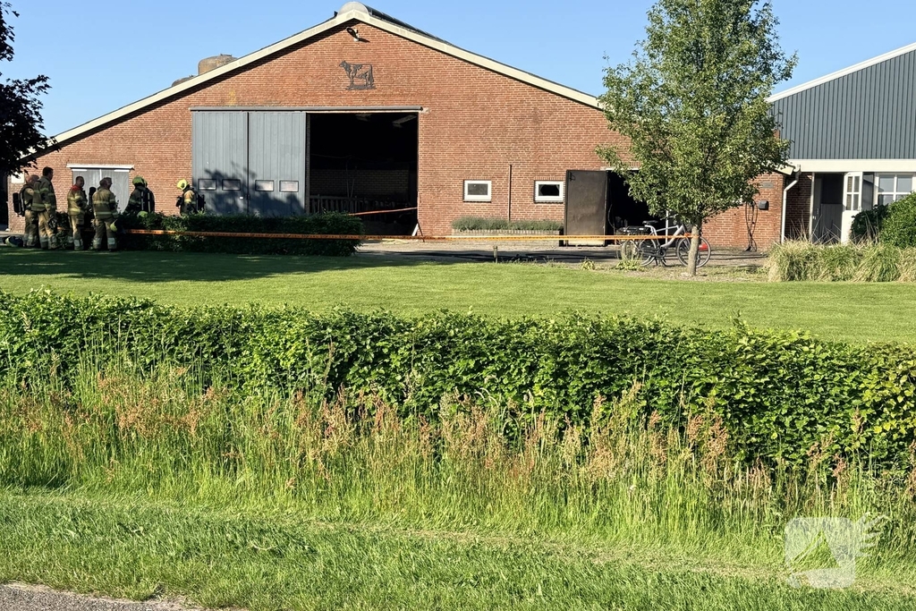 Brand in koeienstal zonder gewonden