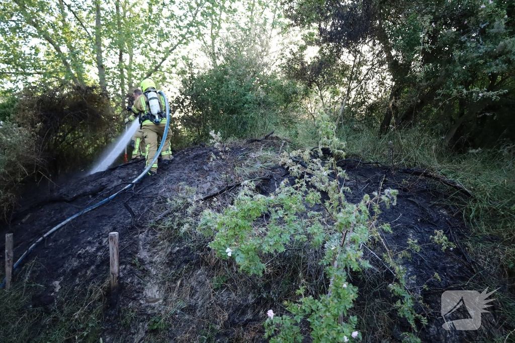 Brand in berm en struikgewas snel onder controle