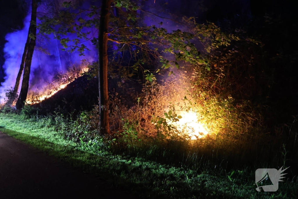 Brandweer blust brand in bosgebied