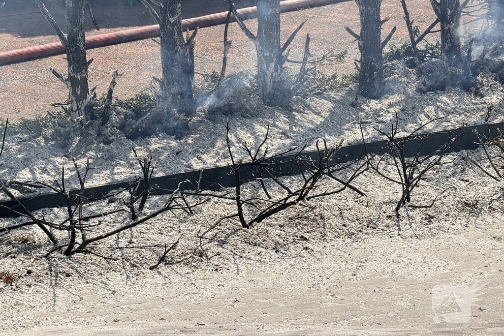 Buitenbrand ontstaat tijdens onkruidbranden