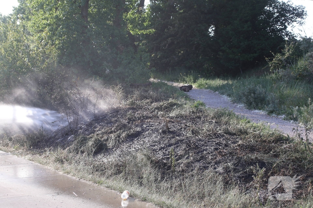 Brandweer bestrijdt flinke duinbrand