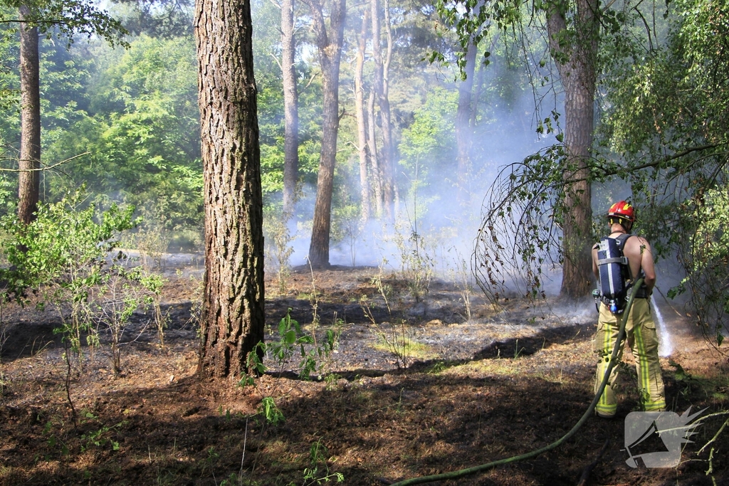 Grote brand in bosgebied snel geblust