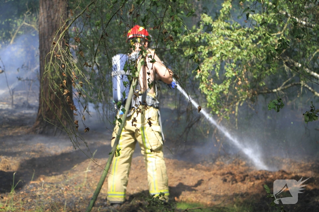 Grote brand in bosgebied snel geblust