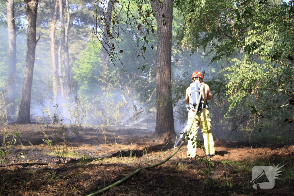 Grote brand in bosgebied snel geblust
