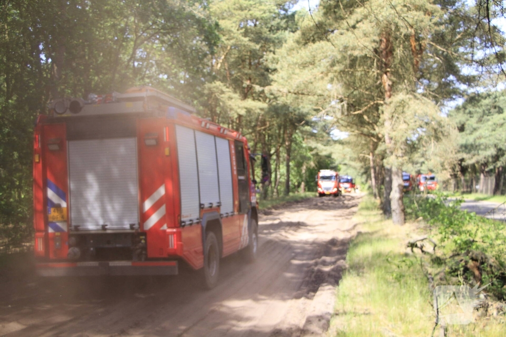 Grote brand in bosgebied snel geblust
