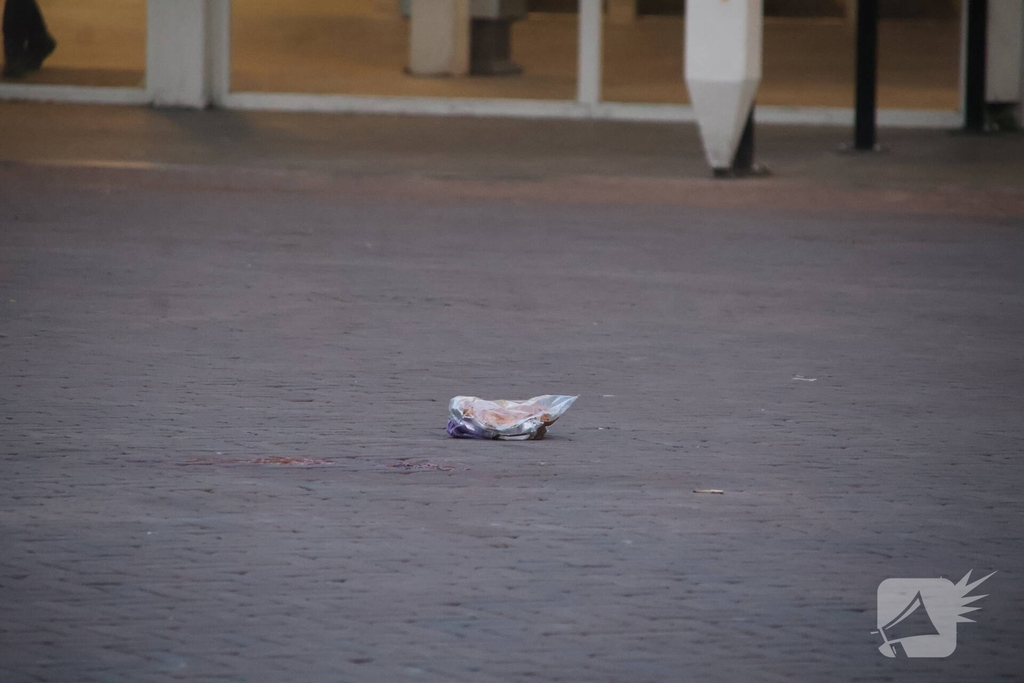 Zwaargewonde na mishandeling voor station Leiden Centraal