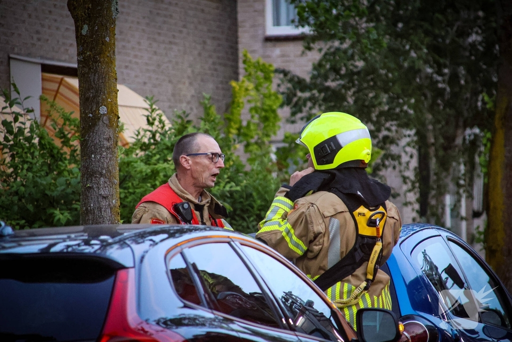 Brandweer redt kat uit boom na mislukte poging van omstander