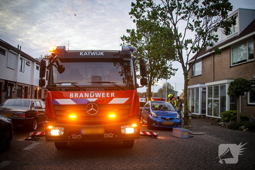 Brandweer redt kat uit boom na mislukte poging van omstander