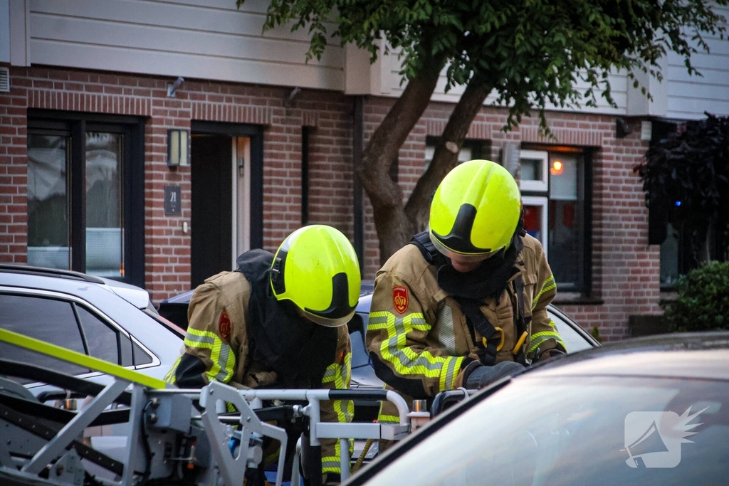 Brandweer redt kat uit boom na mislukte poging van omstander