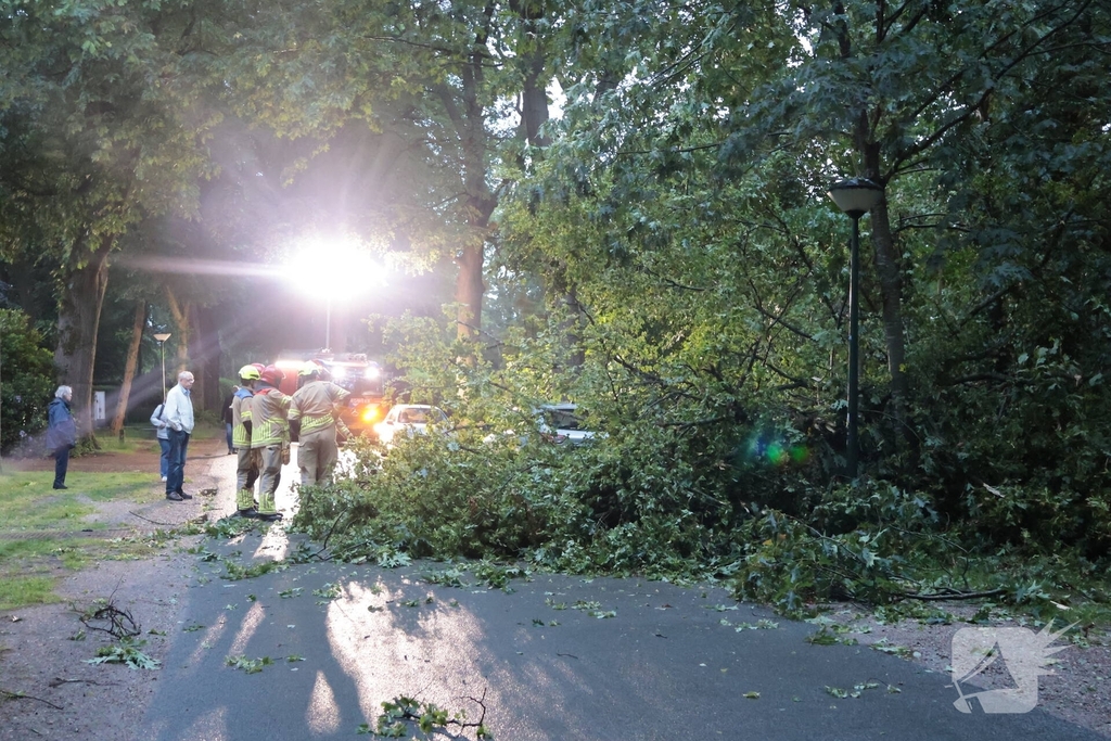 Boom valt op geparkeerde auto