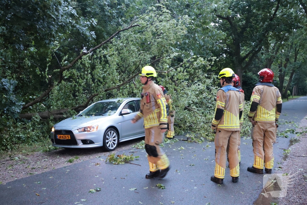 Boom valt op geparkeerde auto