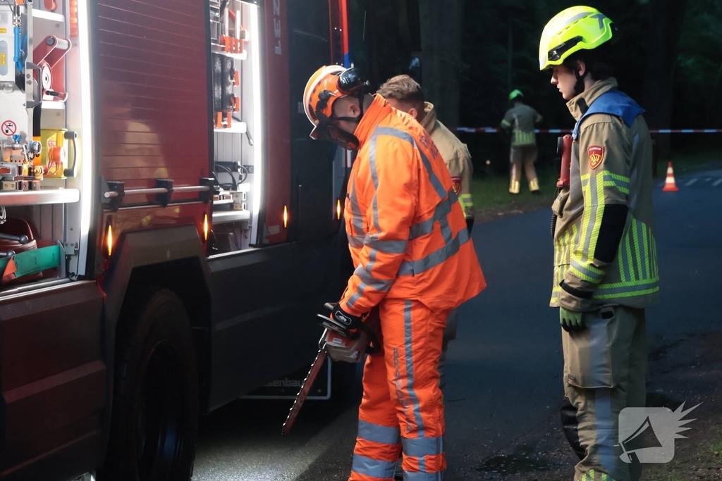Boom valt op geparkeerde auto