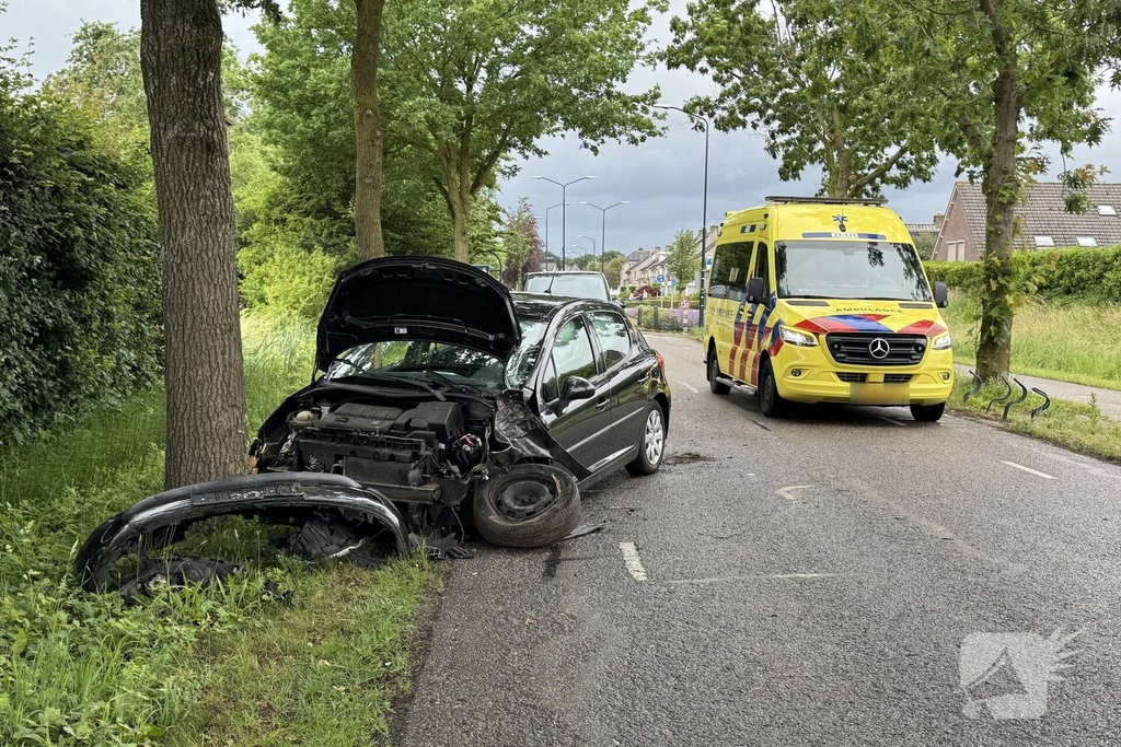 Auto total-loss na raken van bomen en bord