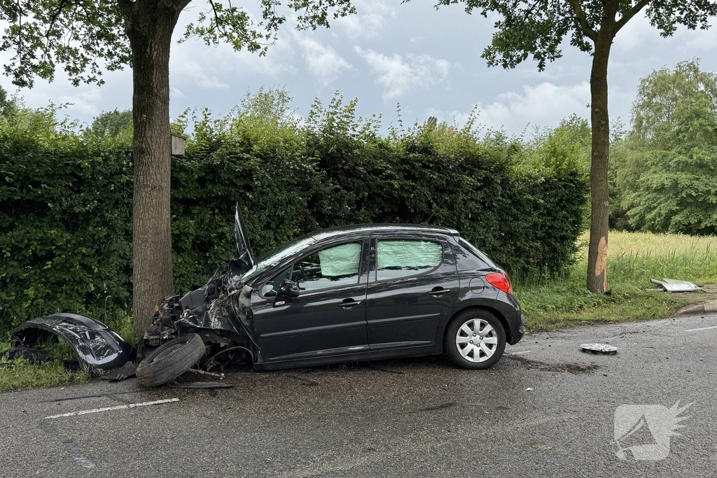 Auto total-loss na raken van bomen en bord