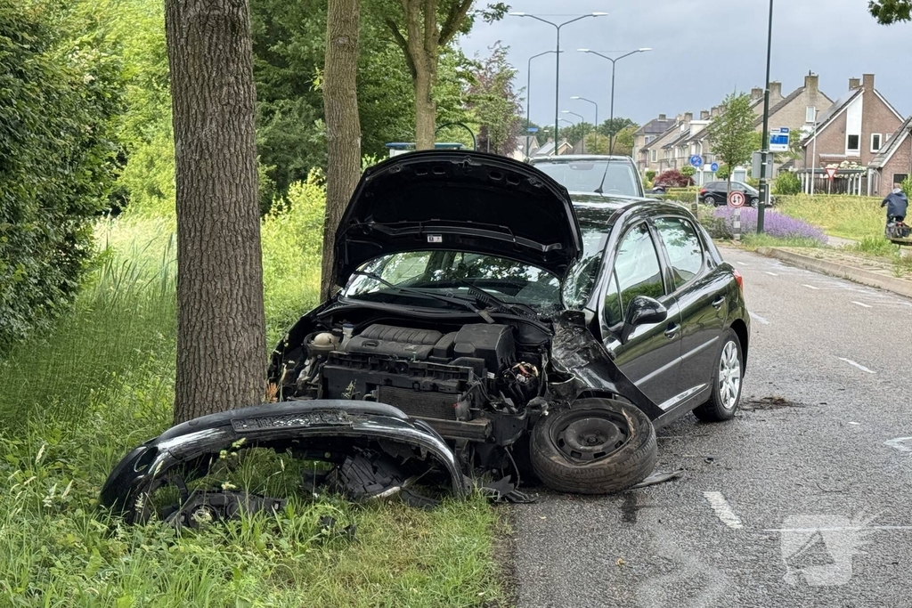 Auto total-loss na raken van bomen en bord