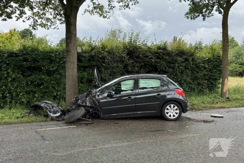 Auto total-loss na raken van bomen en bord