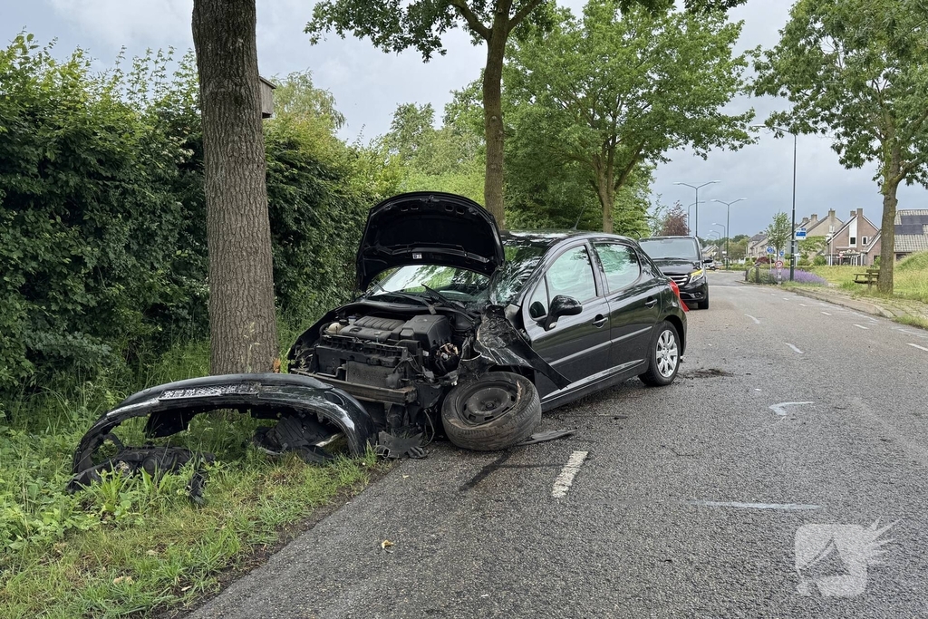 Auto total-loss na raken van bomen en bord