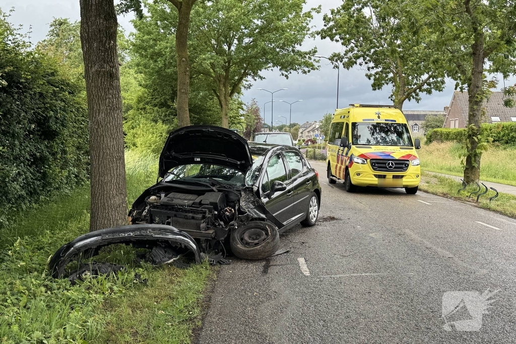 Auto total-loss na raken van bomen en bord