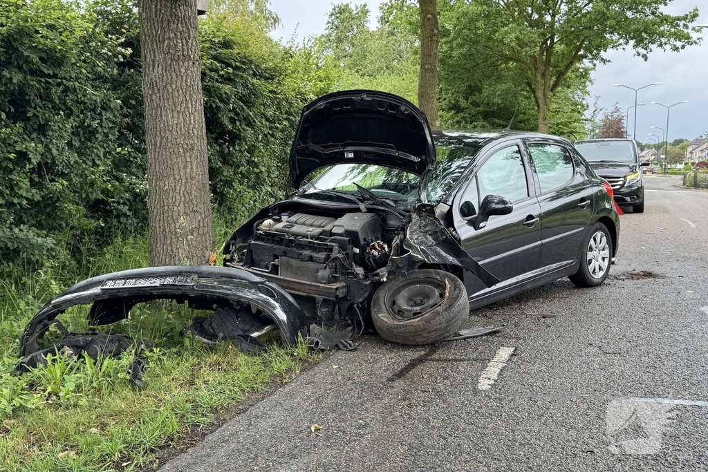 Auto total-loss na raken van bomen en bord