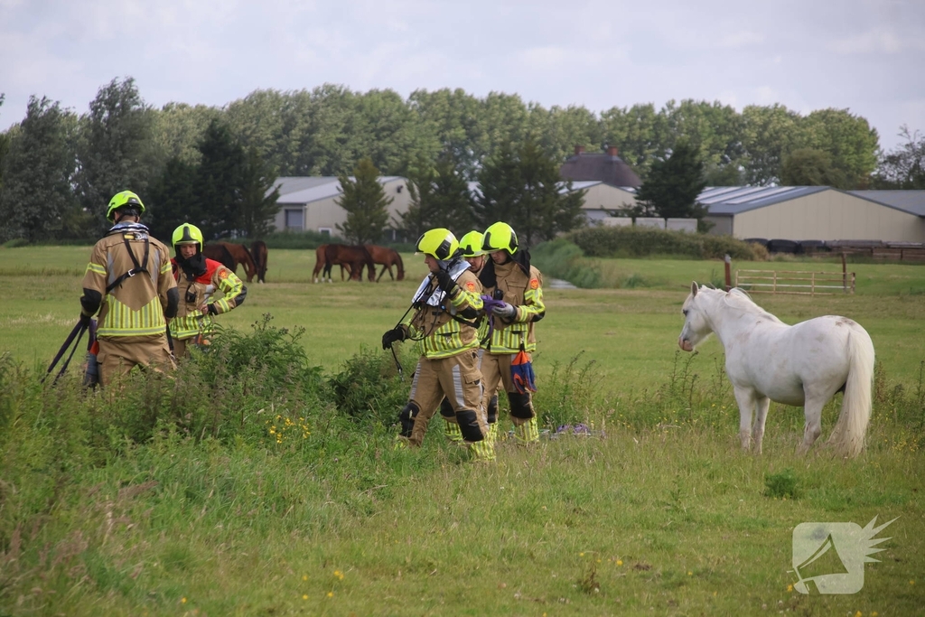 Brandweer redt paard uit water