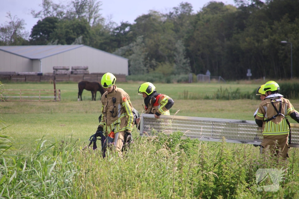 Brandweer redt paard uit water