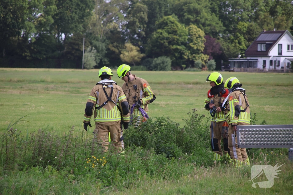 Brandweer redt paard uit water