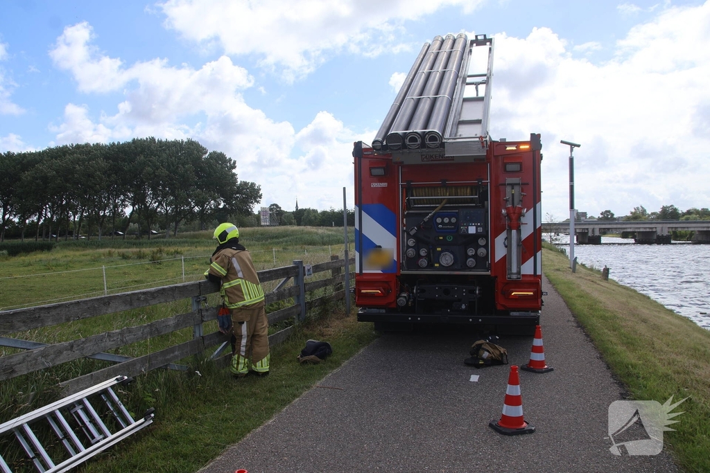 Brandweer redt paard uit water