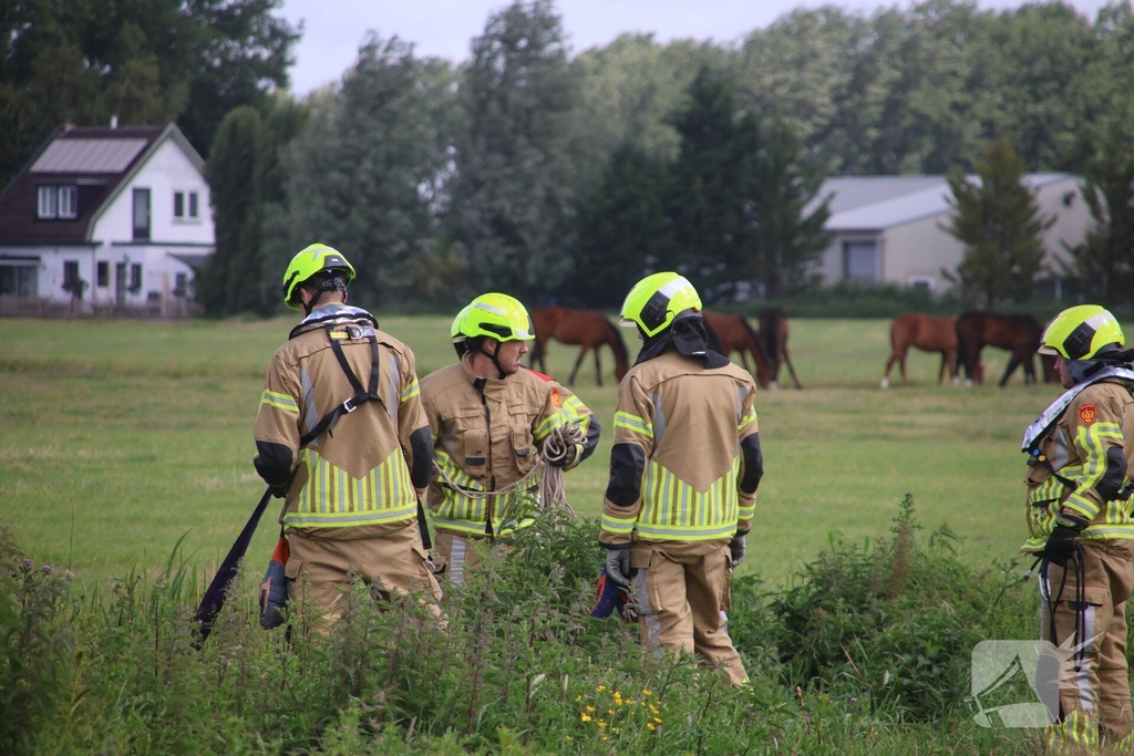 Brandweer redt paard uit water