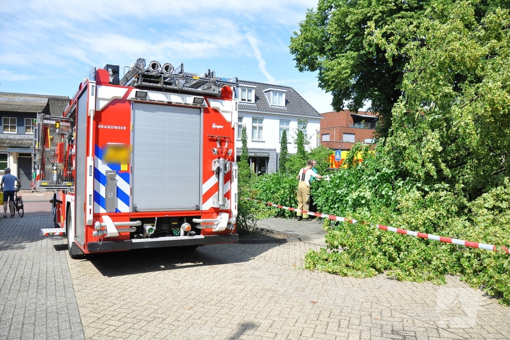 Geparkeerde personenauto's beschadigd door omgevallen boom
