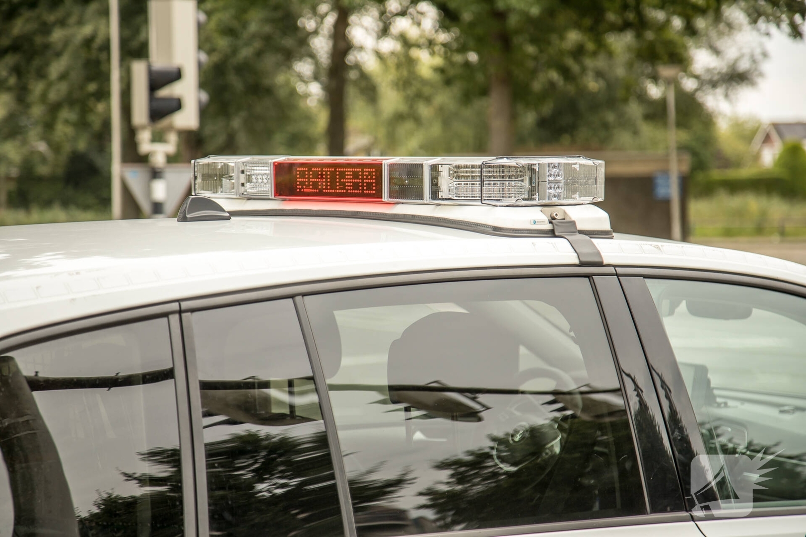 Automobilist rijdt tegen boom